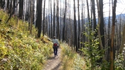 PICTURES/Glacier - The Loop Trail/t_Sharon on trail2.jpg